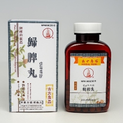 Gui Pi Pills 歸脾丸